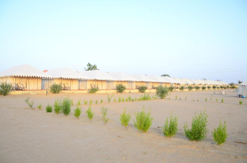 ג'איסלמר Limra Desert Camp מראה חיצוני תמונה